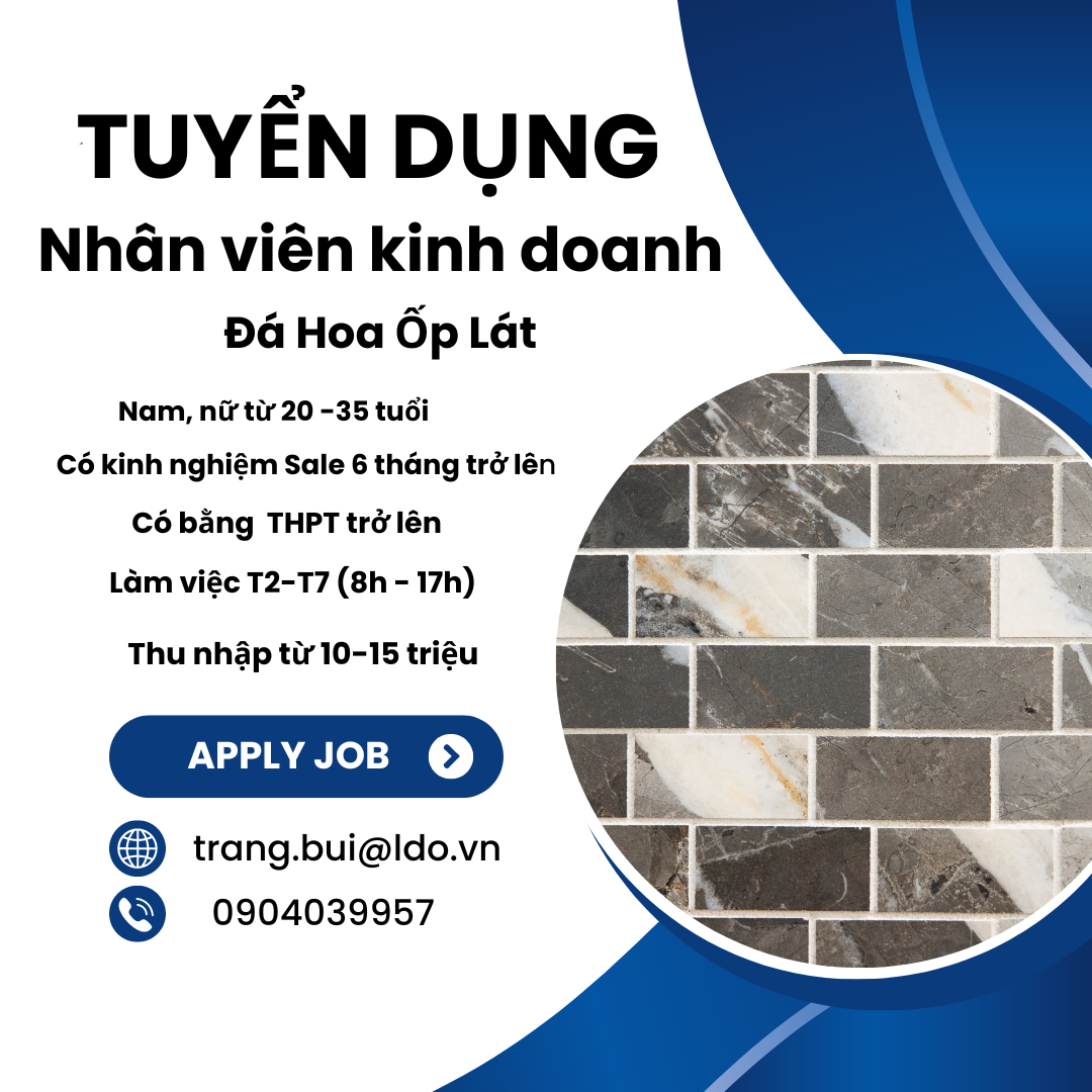 lĩnh vực hoạt động